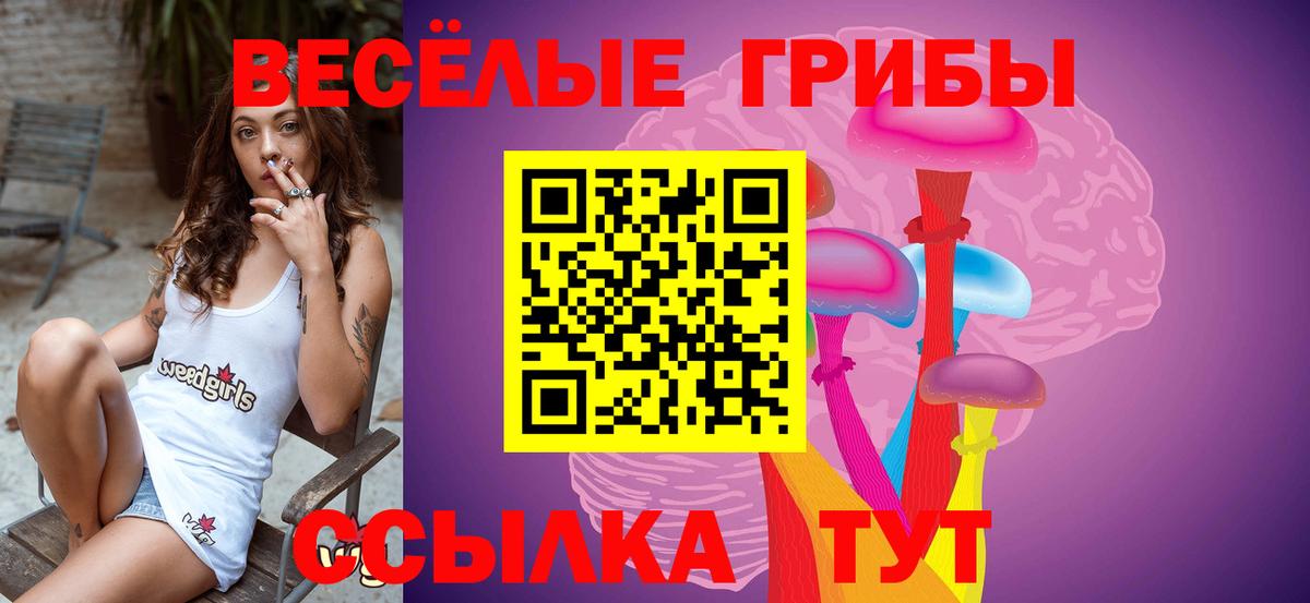 Псилоцибиновые грибы Psilocybine cubensis  Вход с VPN  Псилоцибиновые грибы GOLDEN TEACHER  Красноармейск 